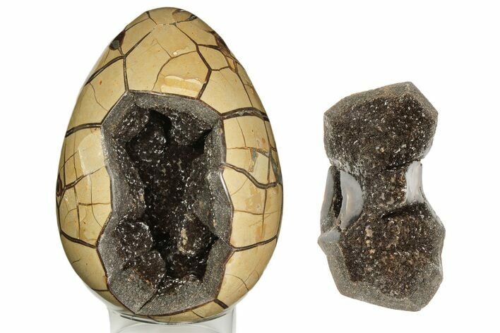 Bargain, Polished Dragon Egg Puzzle Geode - Black Crystals #191441